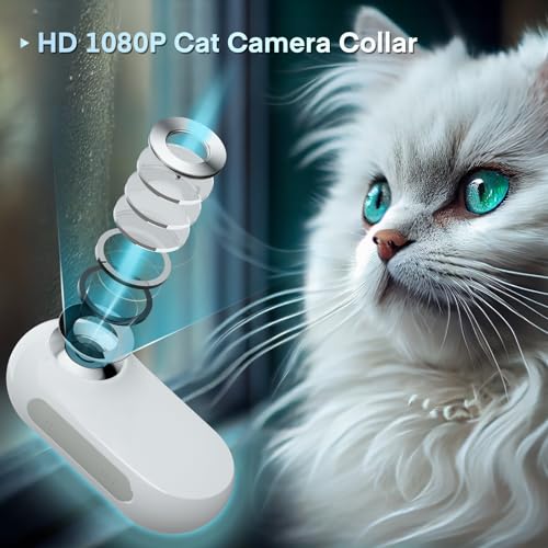 Pet Baby Cat Camera Collar with up to 128GB SD Card, HD 1080P Dog Collar Camera Mini Body Camera Action Camera Wireless Collar Camera for Dogs Cats Gift Indoor/Outdoor